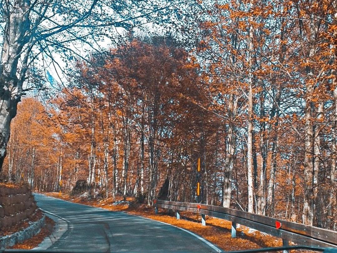 Villa Davisol 세스 외부 사진